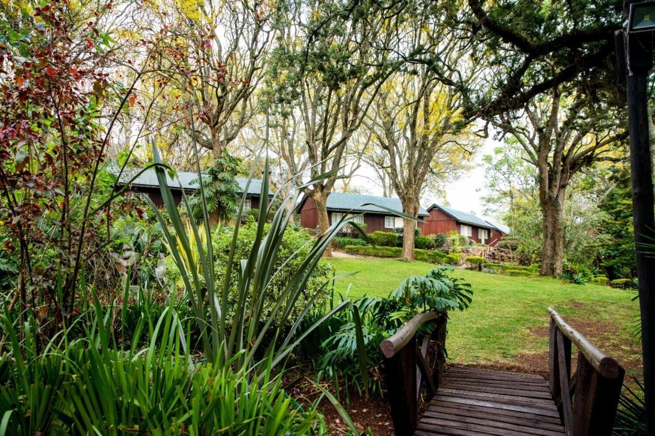 Naro Moru River Lodge Bagian luar foto