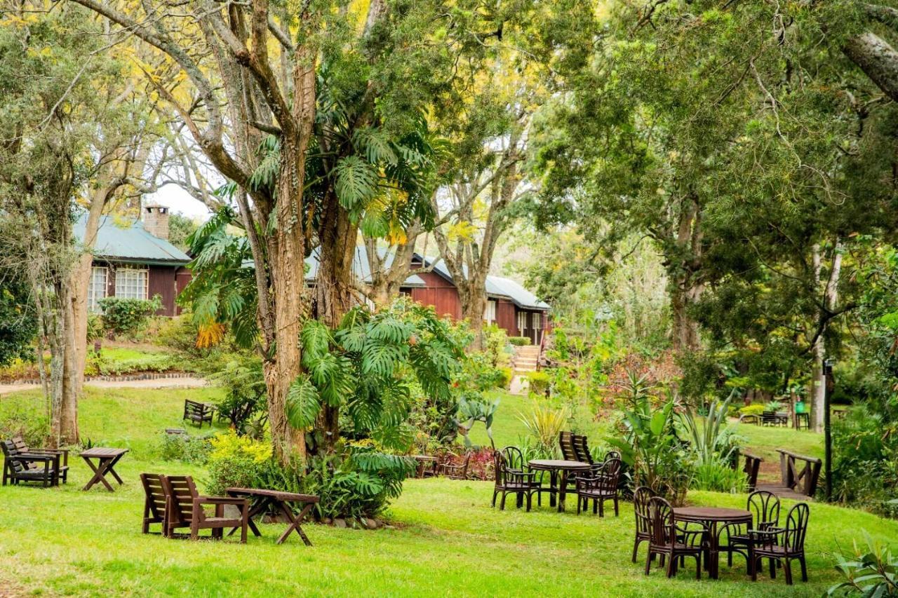 Naro Moru River Lodge Bagian luar foto
