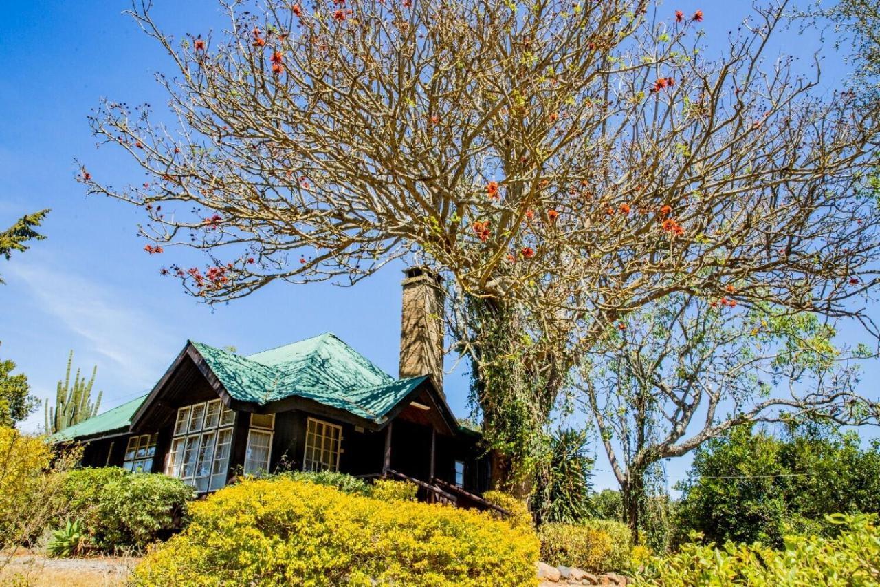 Naro Moru River Lodge Bagian luar foto