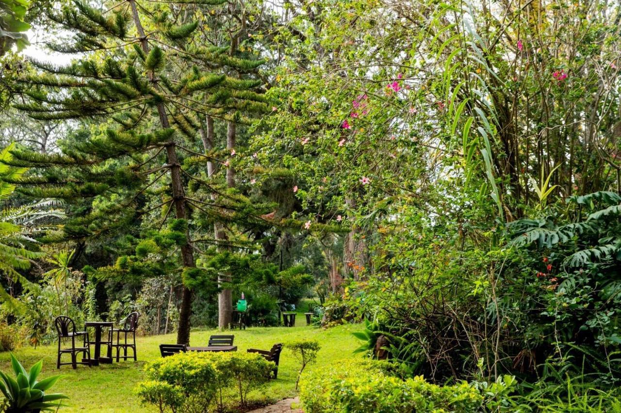 Naro Moru River Lodge Bagian luar foto
