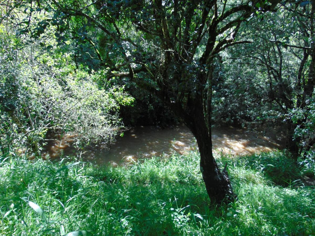 Naro Moru River Lodge Bagian luar foto