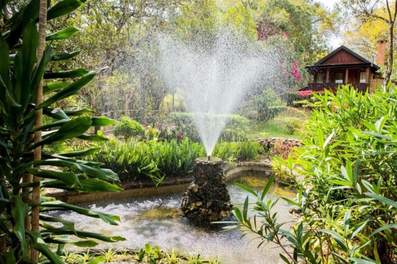 Naro Moru River Lodge Bagian luar foto