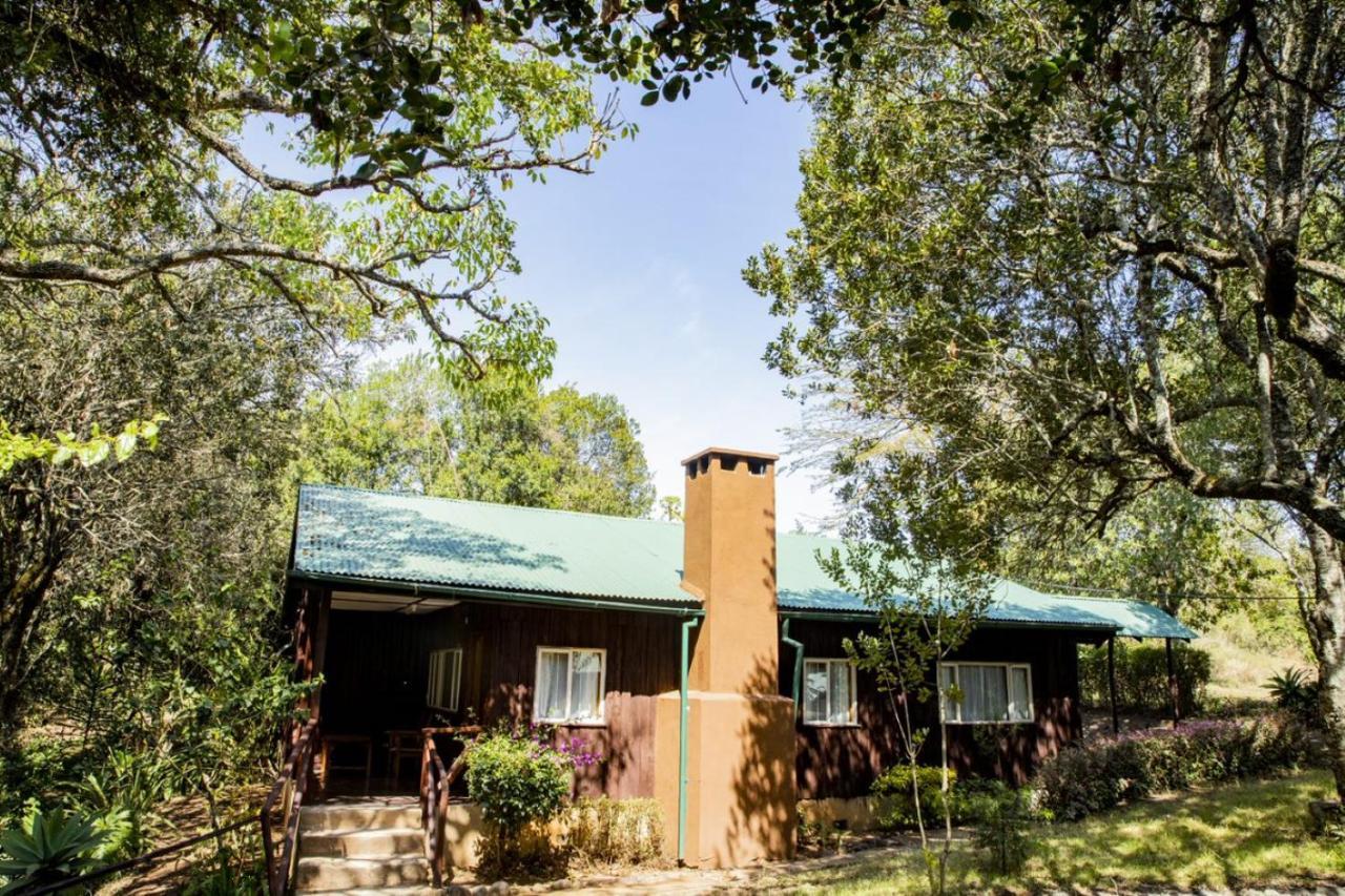 Naro Moru River Lodge Bagian luar foto